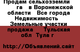 Продам сельхозземли ( 6 000 га ) в Воронежской области - Все города Недвижимость » Земельные участки продажа   . Тульская обл.,Тула г.